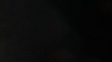 Fury generó polémica, más que por la pelea, por llevar el escudo mexicano en la parte trasera de su short