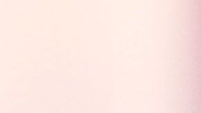 Gloria Estefan agradeció las muestras de cariño de sus seguidores tras anunciar que su perrito Isaac había fallecido.