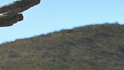 migrante desierto