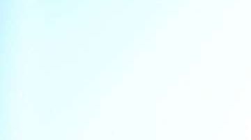 El presidente Donald Trump.