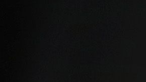 Los casos de deportaciones también se retrasan en cortes.