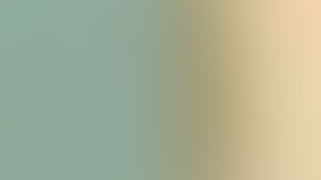 Gregory Hassze, de 34 años, enfrentaba 26 cargos por posesión de bombas caseras.