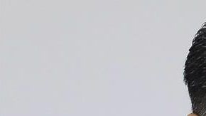 Omar García Harfuch.