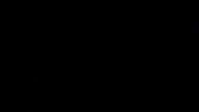 A medida que los huevos envejecen el agua en su interior se evapora a través de los poros de la cáscara y pierden peso.