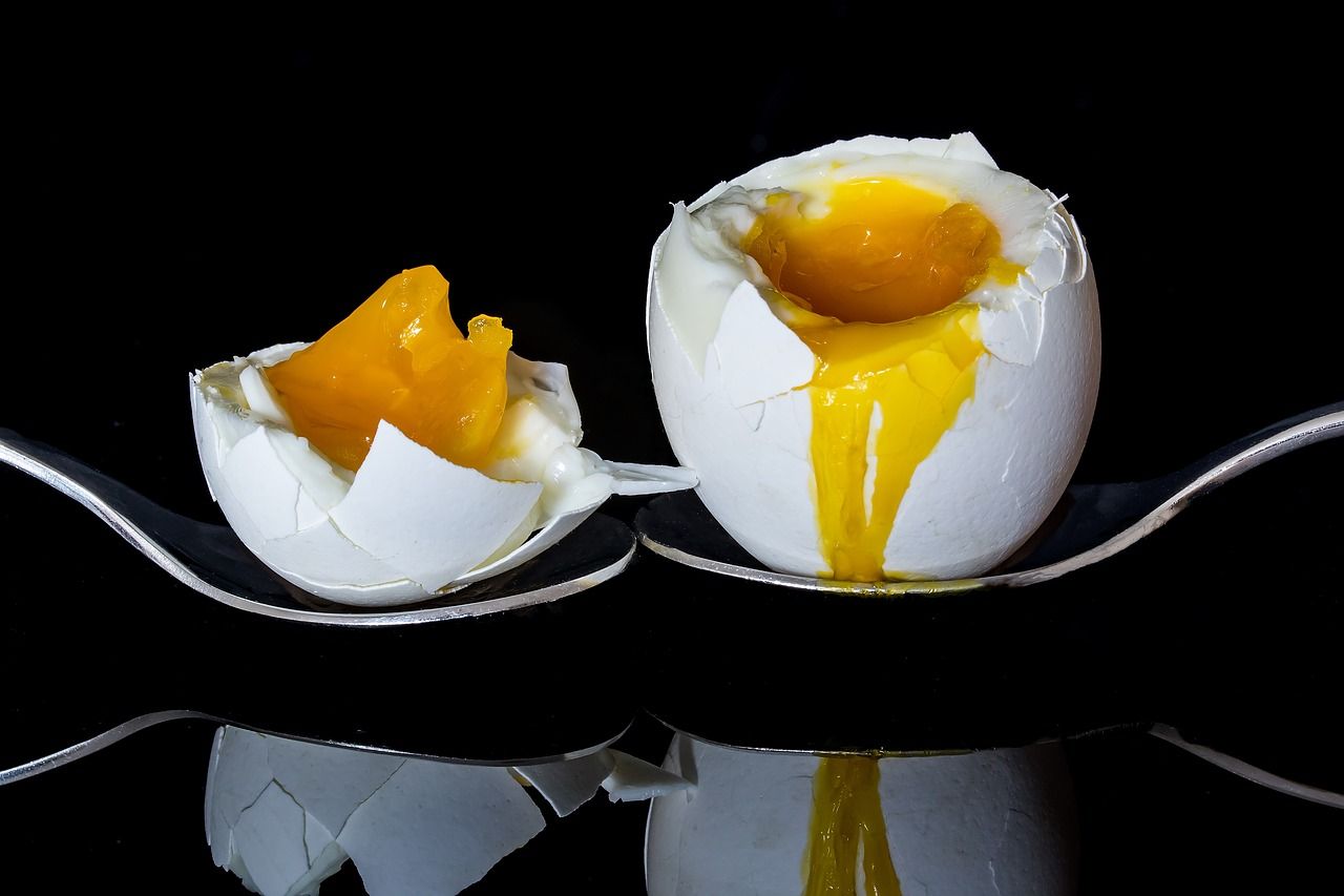 Recibe huevos frescos en tu casa de la máxima calidad