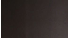 Jenson Button y Brittny Ward