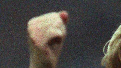 Ronald Koeman es uno de los héroes del FC Barcelona.