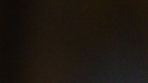 Un perro ayudó a salvar la vida de una anciana.