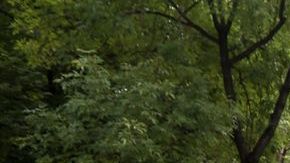 Los 43 estudiantes de Ayotzinapa desasparecieron en septiembre del 2014.