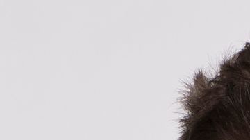 Luis Ernesto Franco y Camila Sodi regresan a 'Falsa Identidad 2'.