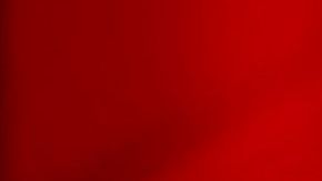 María Celeste Arrarás.