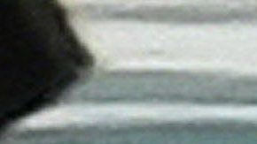 Maquillador de Britney Spears asegura que ella no tiene ingerencia en sus redes sociales.