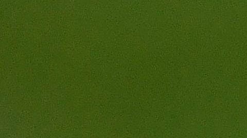 Leo Messi lleva varios años de decepciones.