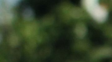 Naasón Joaquín García