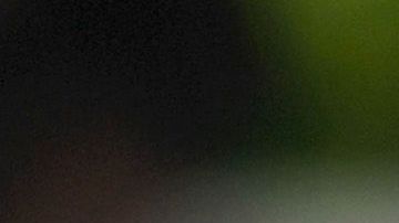 Scott Parker, entrenador del Fulham.