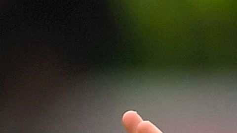Scott Parker, entrenador del Fulham.