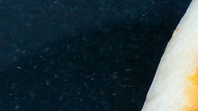 Las pequeñas pizzerías ya están sufriendo la escasez de este producto.