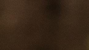 La mamá rata salva a su cría de ser devorada por una serpiente.