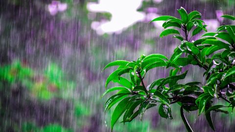 El agua de lluvia posee interesantes propiedades esotéricas.