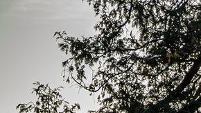 La madre de la pequeña reconoció en el video a su hija.