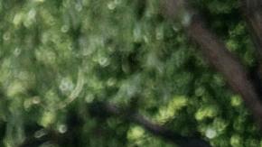 La chica iba en su camino cuando fue sorprendida por esta persona.