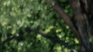 La chica iba en su camino cuando fue sorprendida por esta persona.