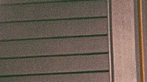 Hay signos que son muy bondadosos.