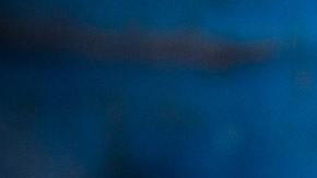 Todo fue una terrible confusión.