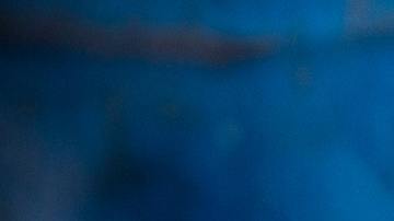 Todo fue una terrible confusión.