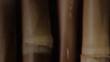 Conoce qué signos visten mejor.