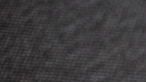 Jamás se imaginaron que existía esa fotografía.