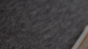 Jamás se imaginaron que existía esa fotografía.