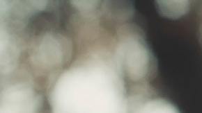 pexels-jesus-arias-2894864