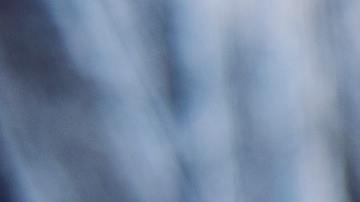 El travieso can haciendo de las suyas.