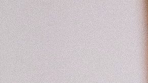 "Bruce Willis" es un felino de 7 años que ha conmovido el corazón de muchos.