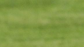 Un menor murió al instante mientras que los demás fallecieron en el hospital.