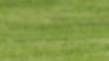 Un menor murió al instante mientras que los demás fallecieron en el hospital.