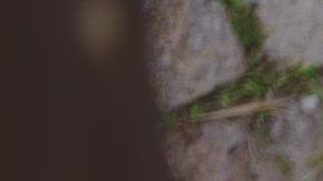 Hay signos que son fáciles de engañar.