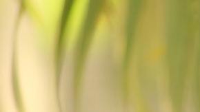 Un cliente se percató de la curiosa situación.