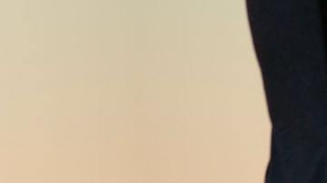 El perro pensó que se trataba de una emergencia.