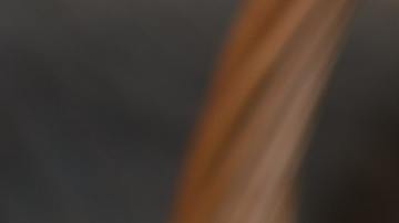 Pensó que se trataba de un gato abandonado en la calle y lo rescató, hasta que notó algunos comportamientos extraños.