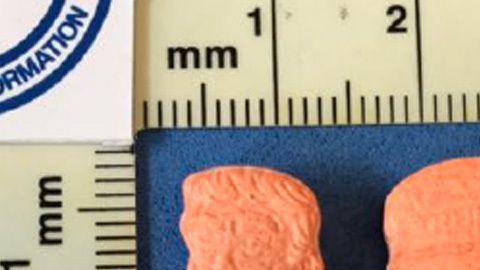 Píldoras de éxtasis con la forma de Donald Trump.