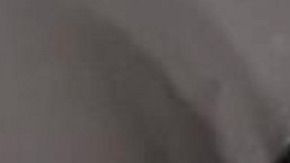 Fotografía cedida por Emily Visnic donde se ve a la pitón en su lavadora.