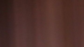 "Canelo" Álvarez se retiraría a los 37 años.