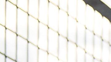 renee gracie onlyfans