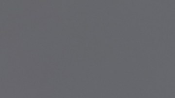 En EE.UU., los mininos son los consentidos.