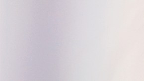 shutterstock_1132639229