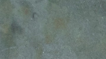 No hay quien se haga cargo de los chicos.