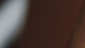 bolsita té infusión bebida