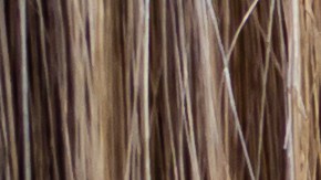 El hombre recién había salido de prisión.